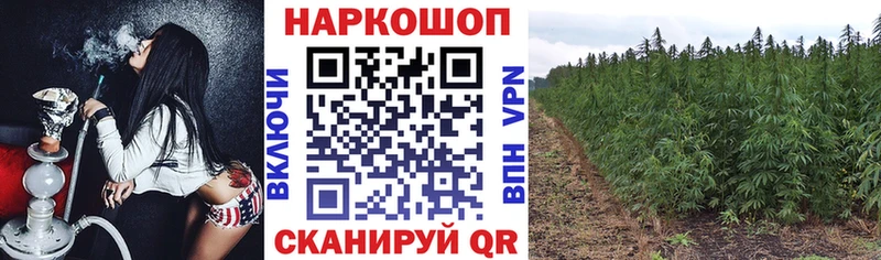 Меф Калачинск