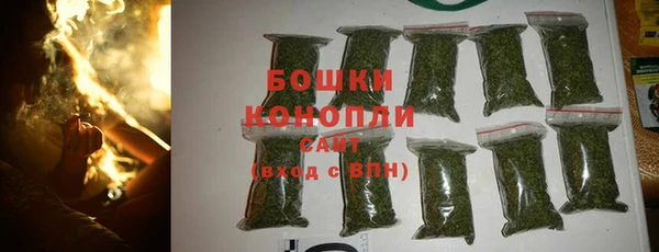 стаф Дмитриев