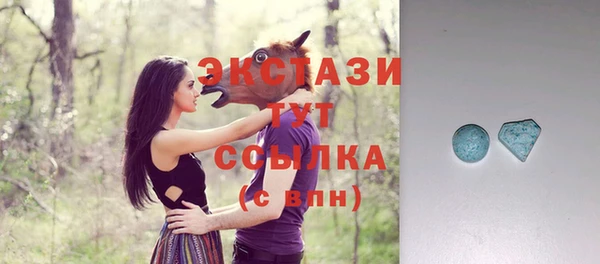 стаф Дмитриев