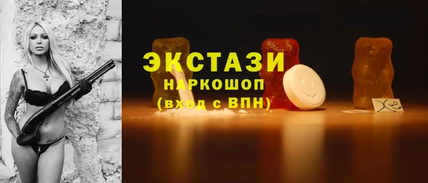 стаф Дмитриев