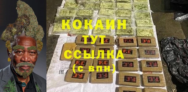 стаф Дмитриев