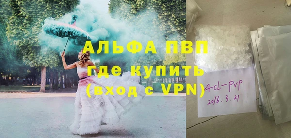стаф Дмитриев