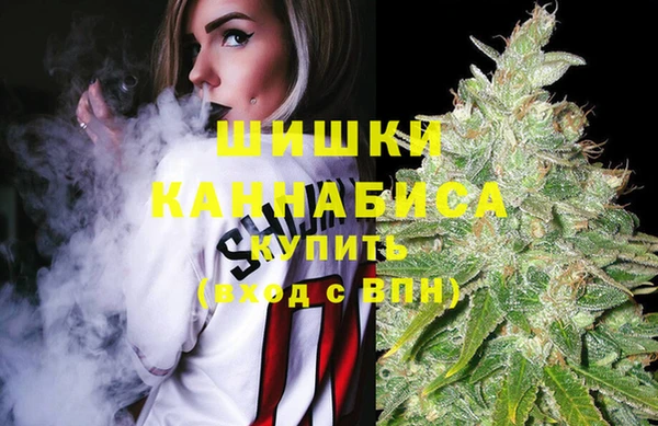 стаф Дмитриев