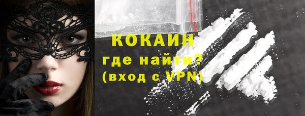 стаф Дмитриев